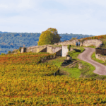 What Makes Beaune the Wine Capital of Burgundy